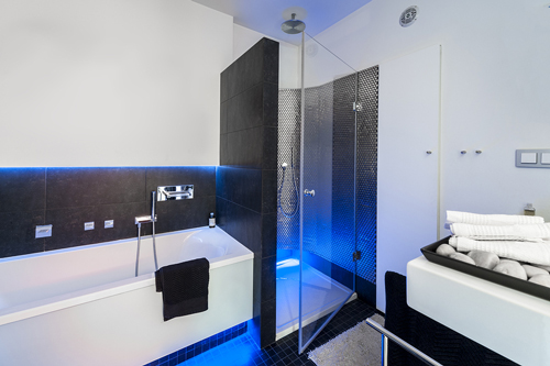 masculine_Modern-Bathroom-With-Shower